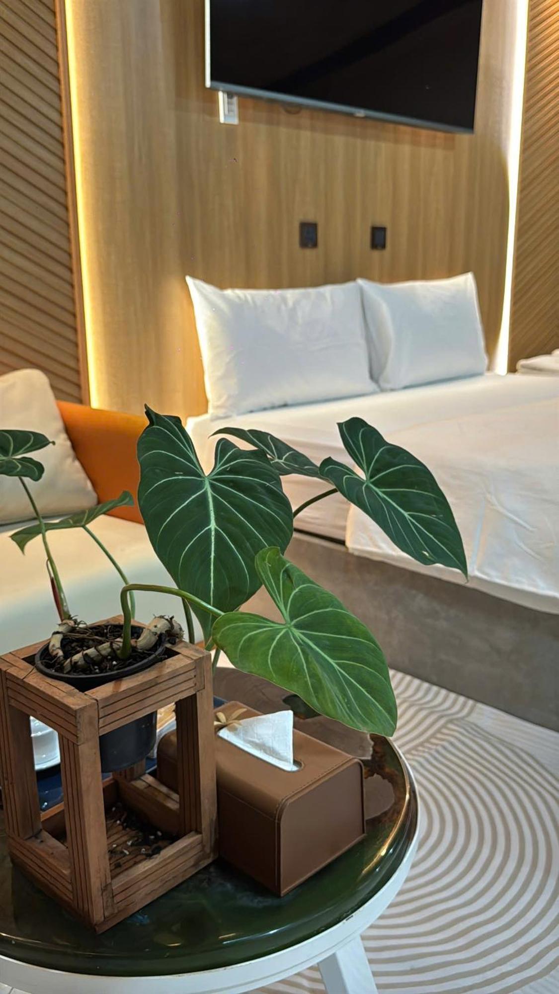 La Garden Homestay Long Xuyên Extérieur photo