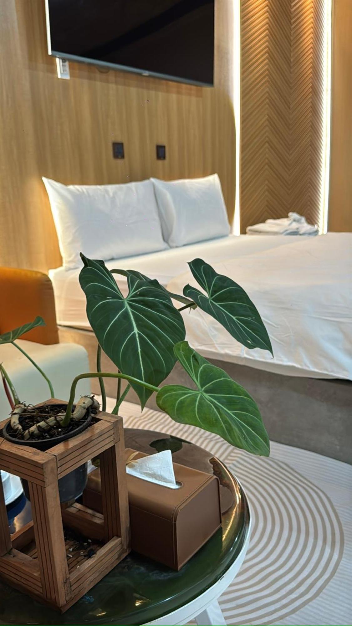La Garden Homestay Long Xuyên Extérieur photo
